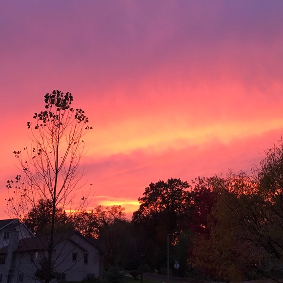 Meet your Posher, Maddy - Picture 1 of 1